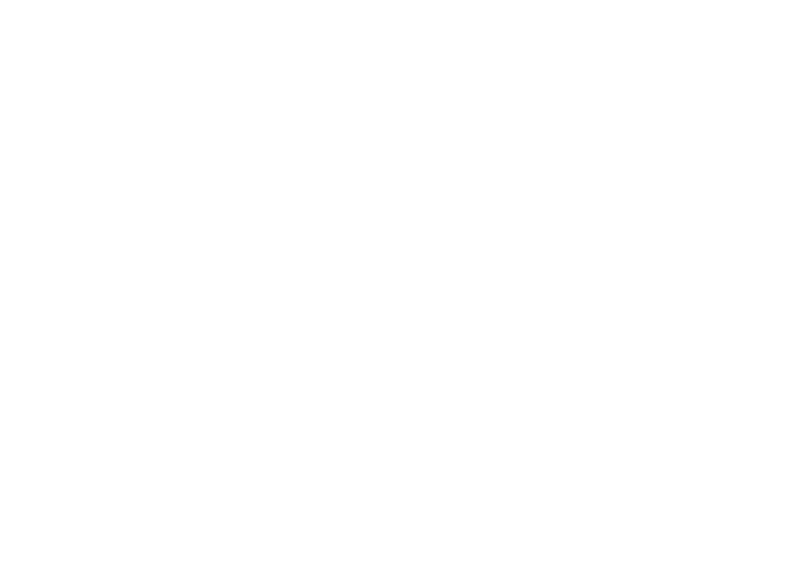 Department of Defense United States of America