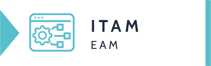 ITAM: EAM