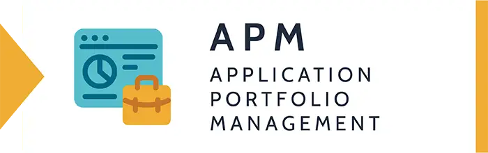 Application Portfolio Management BADGE