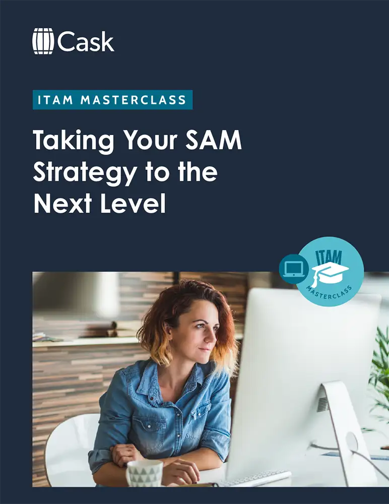 ITAM MasterClass Part 4 PDF cover image